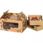 Eco Friendly Fruit Cardboard Box Trays Lightweight Custom Size Logo for sale