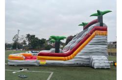 China PVC Tarpaulin Puncture Proof Inflatable Water Slides With Pool supplier