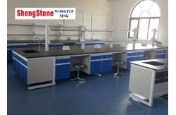 China Physical Laboratory Phenolic Resin Countertop Chemical Resistance Solid Core supplier