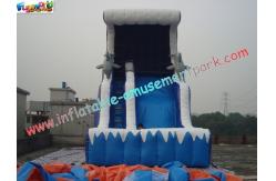 China Giant Dolphin Commercial Inflatable Slide , 8.5m Inflatable Slide Games supplier
