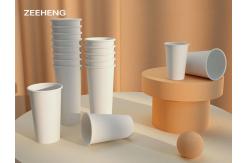 China 12oz printed biodegradable disposable PLA coated paper cups with lids supplier