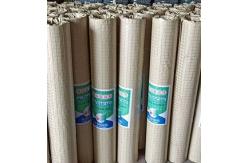 China Concrete Masonry Metal Reinforcing Mesh Building Materials Hot - Dipped Galvanized supplier