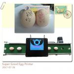 Smart Egg Stamping Machine With High Capacity USB Flash Drive Internal Storage for sale