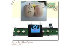 China Smart Egg Stamping Machine With High Capacity USB Flash Drive Internal Storage supplier