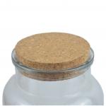 Tapered Mason Glass Bottle Cork Stopper Airtightness Drysaltery for sale