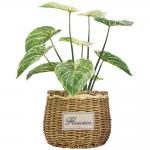 PE Artificial Potted Floor Plants For Fake Plant Philodendron Birkin for sale