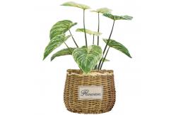 China Bedroom Artificial Potted Floor Plants Plastic Philodendron Birkin supplier