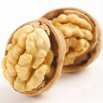 New Crop Organic Bulk Wholesale Paper Walnut China Top Nuts and Dried Fruits Raw Paper Dried Garcinia Fruit 3% Max 5% for sale