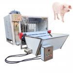 pig slaughter equipment pig processing equipment pig hair cleaning machine