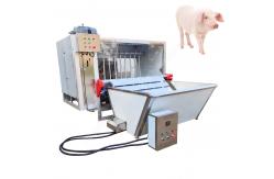 China dehairing machine for pig pig scalding and dehairing machine pig slaughter supplier