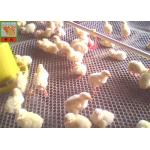 Hexagonal Extruded Plastic Netting, Extruded Plastic Netting, HDPE Materials, 300g - 1200g / Sqm Weight