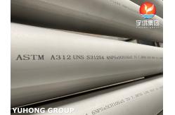 China Stainless Steel Seamless Pipe ASTM A312 UNS S31254 Heat Exchanger Food Processing supplier