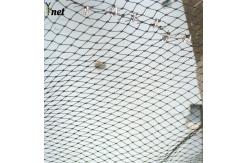 China Polyethylene Bat Exclusion Netting Black Heavy Duty Bird Mesh UV Resistant supplier