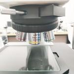 Optical Biological Microscope  Hot Sale  Environmental Test Chambers