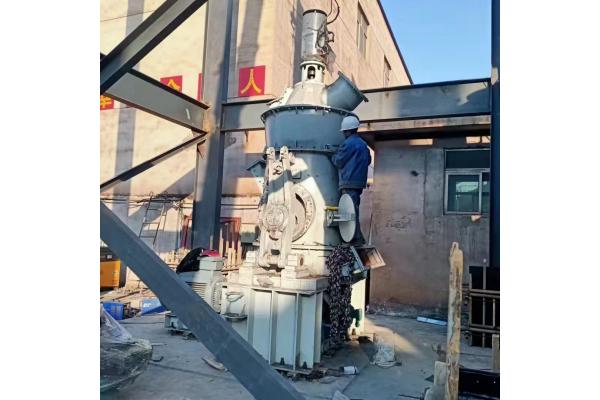 Vertical Roller Talc Grinding Mill Dolomite Pulverizer For Limestone Calcite 1250 Mesh