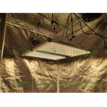 630Watt Aluminum Horticultural 4x4 Led Grow Light for sale