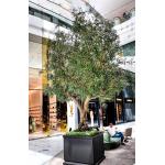 20m Height Artificial Olive Tree Custom Shape Natural Looking Frabric Leaves for sale