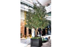 China 20m Height Artificial Olive Tree Custom Shape Natural Looking Frabric Leaves supplier