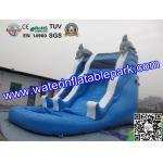 Children Amazing Inflatable Water Slide In Outdoor , Durable Blue Inflatable Water Slide for sale