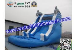 China Children Amazing Inflatable Water Slide In Outdoor , Durable Blue Inflatable Water Slide supplier