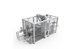 China Top Fully Automatic Container Loader supplier