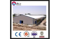 China Customized Automatic Broiler Floor Feeding Line System With Steel Structure Chicken House supplier