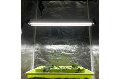 China 30w 2ft Vegetative LED Grow Light High Pin For Vertical Hydroponics supplier