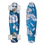 OEM Plastic Penny Board Painting Design Easy To Ride For Beginners for sale
