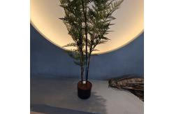 China Artificial Green Plastic Palm Trees for Indoor/Outdoor Use supplier