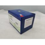 Rechargeable Li-ion Lifepo4 Lithium Ion Battery 12V 10Ah