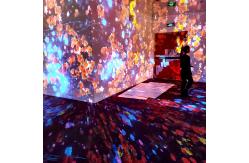 China Projection Screen System Holographic Immersive Dynamic Digital Art supplier