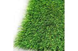 China Plastic Synthetic Grass Rugs Turf Artificial Carpet Mat For Landscaping supplier