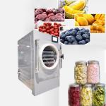 Vacuum Freeze Dryer For Fruit Food for sale