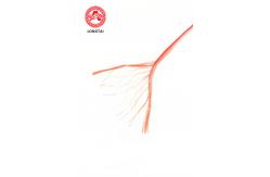 China High Density Poly Baler Twine 9600Ft 210 Lbs Strength UV Stabilized supplier
