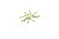 China High quality MKA14103 reed switch, magnetically controlled magnetic switch 2X14MM normally open supplier