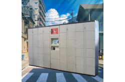China Winnsen Hot Sale Smart Express Terminal Intelligent Parcel Delivery Locker Smart Express Locker supplier