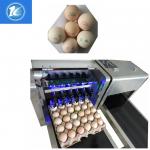 Economical Consumable Material Egg Packaging Machine / Egg Spraying Machine for sale