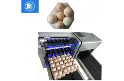 China Drag And Drop Convey Egg Inkjet Coding Machine Intelligence For Poultry Industry supplier