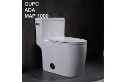 China 1 Piece Compact Elongated Comfort Height Toilet Commode Siphon Wc Integrated supplier