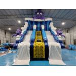 Commercial Outdoor Popular Inflatable Water Slide Ocean Cartoon Inflatable Water Double Slide For Kids And Adults for sale