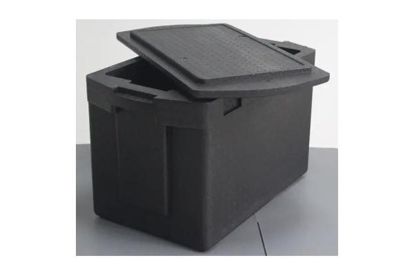Customized EPP Foam Cooler Box Security Packaging Device Printing