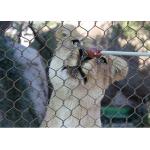 Knotted X Tend Zoo Wire Mesh , High Tensile Stainless Steel Cable Net for sale