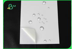 China Glossy Self Adhesive Synthetic Paper For Banners Fast - drying Ink 120um 200um supplier