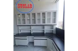 China Lab Setup with Customizable and Integrated Structure Modular Lab Furniture Manufacturer Hong Kong supplier