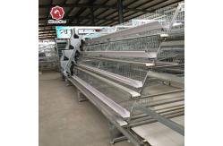 China Q235 Automated Chicken Layer Farming Cage Battery Cages For Poultry Chicken Layer supplier
