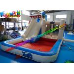 Shark Outdoor Inflatable Water Slides  ,  Air Combo Bouncer With Water Pool for sale