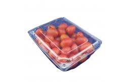 China PET Recyclable Clamshell Packaging Box Plastic ISO9001 supplier