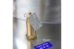China 50m 100L IPX8 Waterproof Test Chamber With Pressure Protection supplier