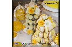 China New Design 10 Tier Macaron Tower Disposable Food Tray supplier
