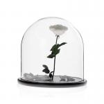 D30 x H30cm Handmade Large Glass Display Box Dome Cloche With Wood Base for sale